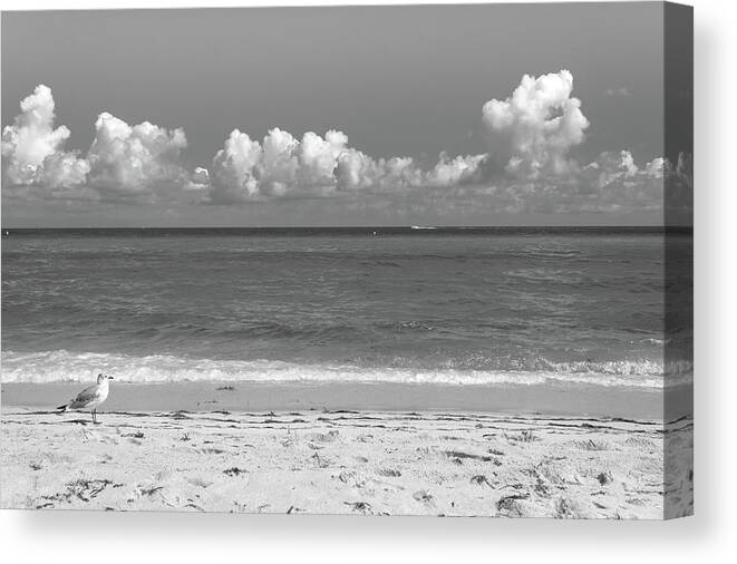 Beach Canvas Print featuring the photograph Solitude by Alison Frank