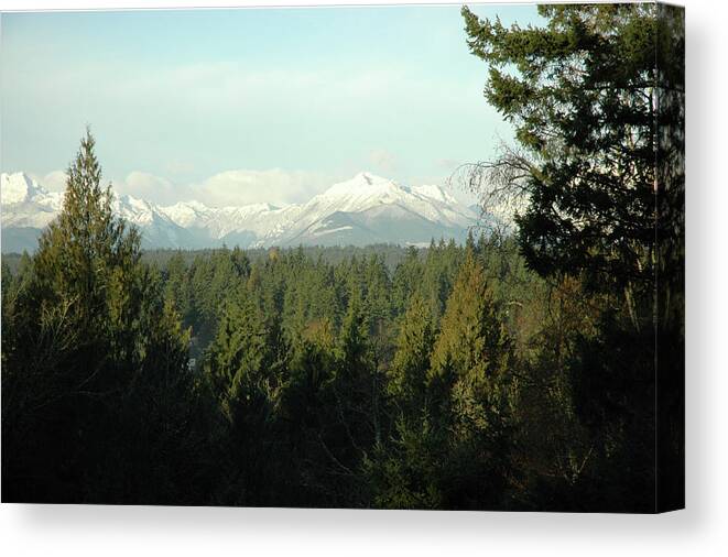 Mountains Canvas Print featuring the photograph Somewhere outside Seattle by Eric Hafner
