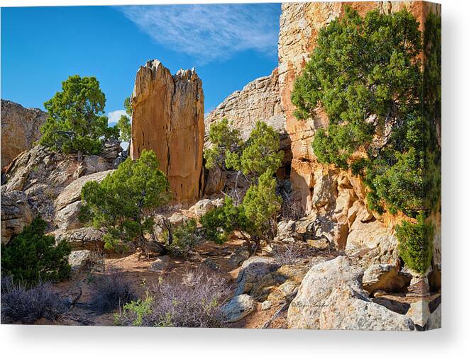 Beautiful Photos Canvas Print featuring the photograph South of Pryors 17 by Roger Snyder
