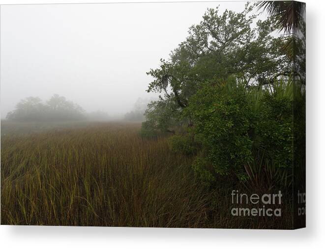 Fog Canvas Print featuring the photograph Southern Framed Fog by Dale Powell