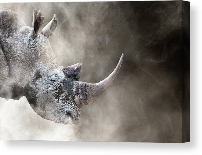 Rhino Canvas Print featuring the photograph Southern White Rhino In The Dust by Good Focused
