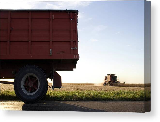 Soybean Harvesting Canvas Print featuring the photograph Soybean Harvesting by Dylan Punke
