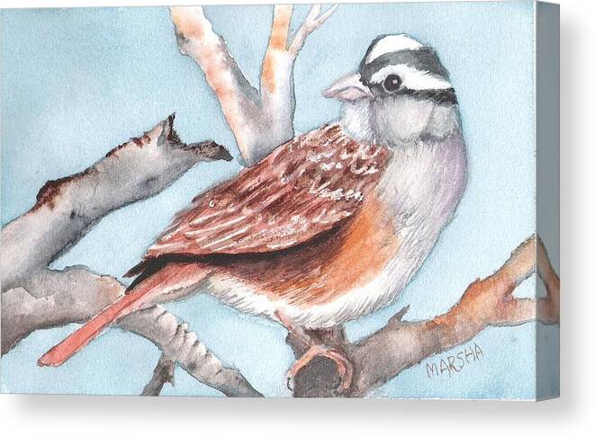 Nature Canvas Print featuring the painting Sparrow by Marsha Woods