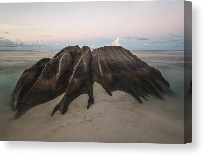 Seychelles Canvas Print featuring the photograph Spider From Mars by Karsten Wrobel