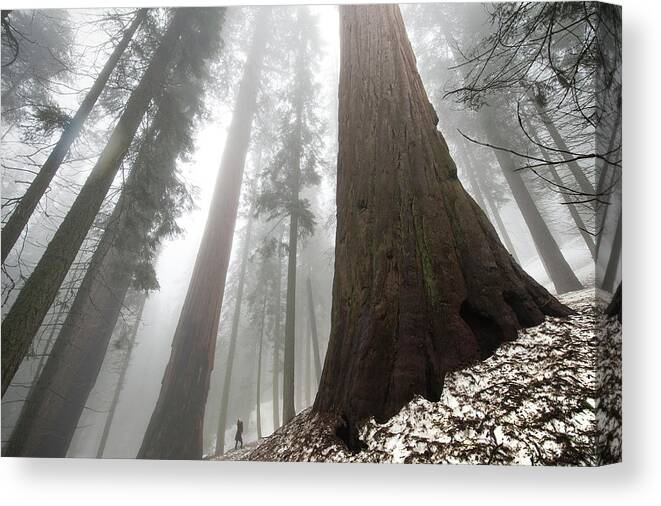 National Park Canvas Print featuring the photograph Spot The Human by Steven Keys