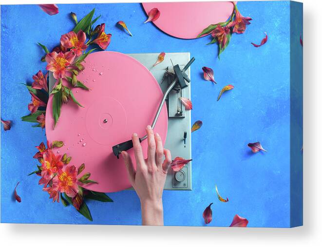 Pink Canvas Print featuring the photograph Spring Record by Dina Belenko