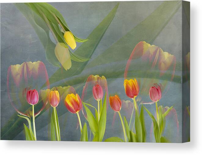 Spring Canvas Print featuring the photograph Spring Time by Greetje Van Son