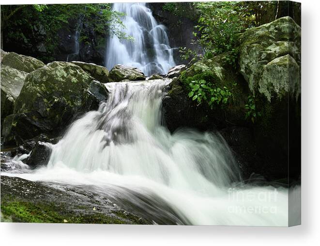Tennessee Canvas Print featuring the photograph Spruce Flats Falls 1 by Phil Perkins
