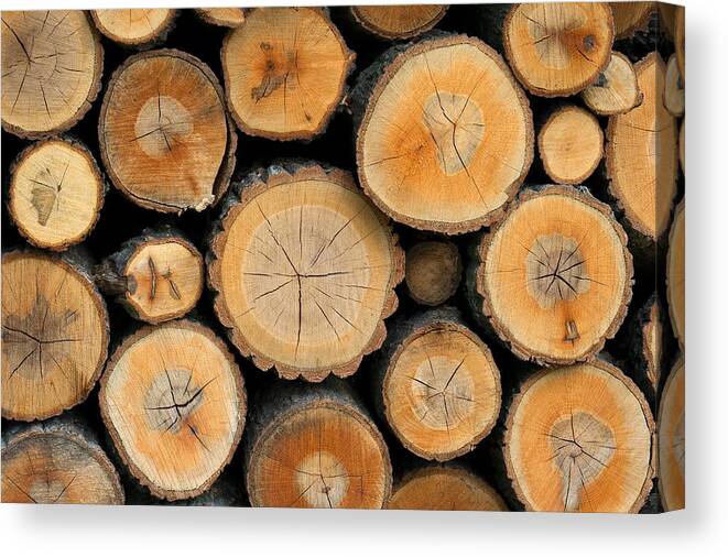 Scenics Canvas Print featuring the photograph Stacked Logs by Sunnybeach