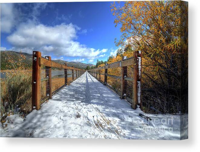 Stanfield; Marsh; Wildlife; Waterfowl; Preserve; Bridge; Wood; Snow; Trees; Bush; Branches; Leaves; Yellow; White; Blue; Sky; Clouds; Nikon; Big Bear; California Canvas Print featuring the photograph Stanfield Marsh Wildlife and Waterfowl Preserve Bridge by Eddie Yerkish