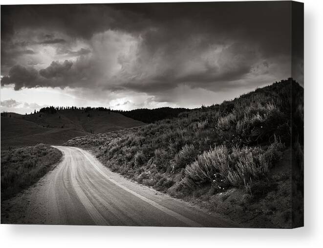 Basin Canvas Print featuring the photograph Stanley Basin Road by Alan Majchrowicz