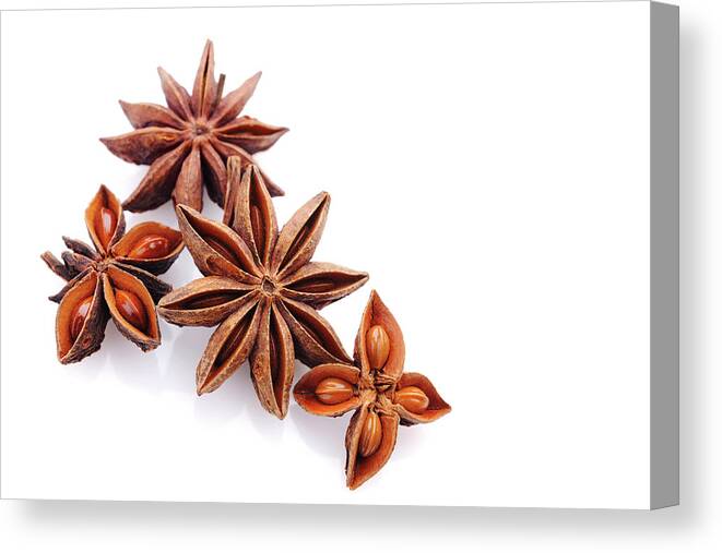 White Background Canvas Print featuring the photograph Star Anise On White by Moncherie