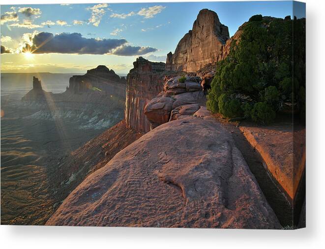 Canyonlands National Park Canvas Print featuring the photograph Star of the Show in Canyonlands NP by Ray Mathis