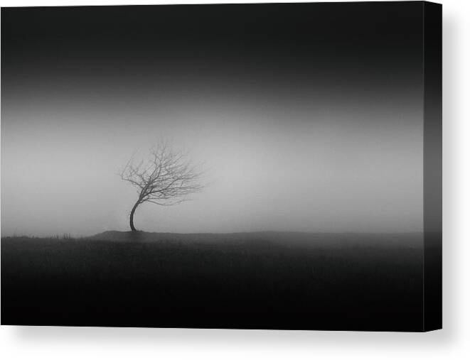 Atmosphere Canvas Print featuring the photograph Steadiness by Gabriel Bistriceanu