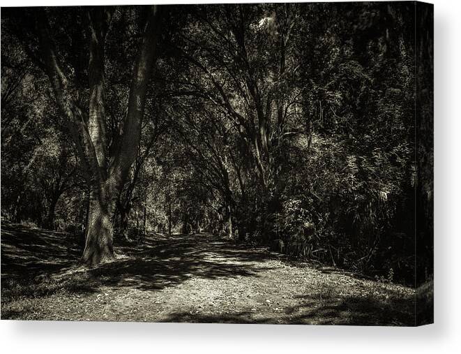 Nature Canvas Print featuring the photograph Infinito by Joe Leone