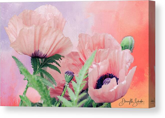 Poppies Canvas Print featuring the photograph Stylish Poppies by Diane Schuster