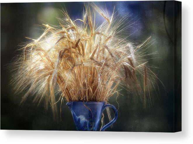 Crops Canvas Print featuring the photograph Summer Burst by Anna Cseresnjes