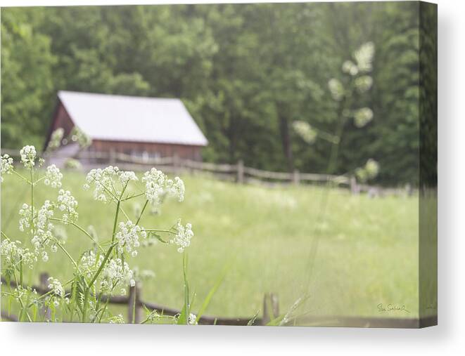 Barn Canvas Print featuring the photograph Summer Farm IIi by Sue Schlabach