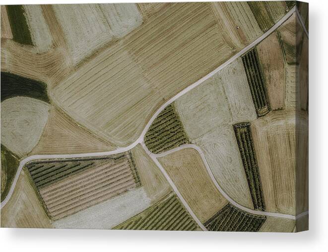 Drone Canvas Print featuring the photograph Summer Fields by Paolo Crocetta