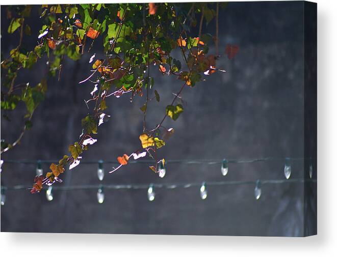 Lights Canvas Print featuring the photograph Summer Lights by Lisa Burbach