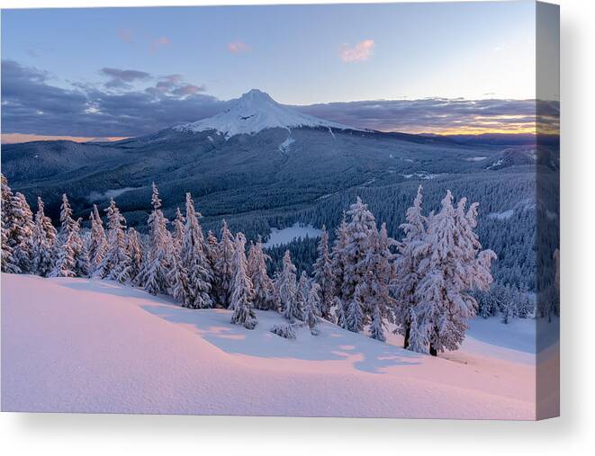 #mt Hood Canvas Print featuring the photograph Sun-kissed by Jin Park