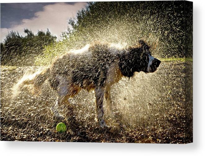 Kent Canvas Print featuring the photograph Sunday Morning Dip Then A Good Shake by Andy Smith Photography