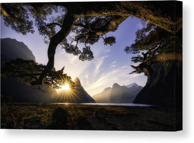 Sunset Canvas Print featuring the photograph Sunny Day In Milford Sound by Jingshu Zhu