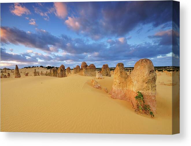 Nambung National Park Canvas Print featuring the photograph Sunrise At Pinnacles Desert by Nora Carol Photography