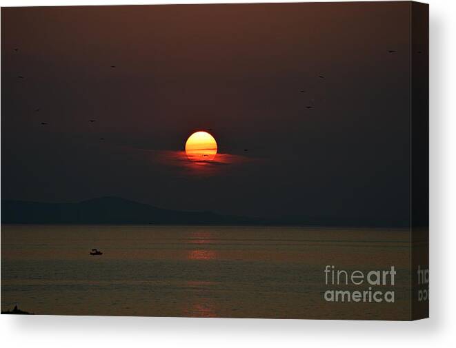Sunset Canvas Print featuring the photograph Sunset @ Zadar by Thomas Schroeder
