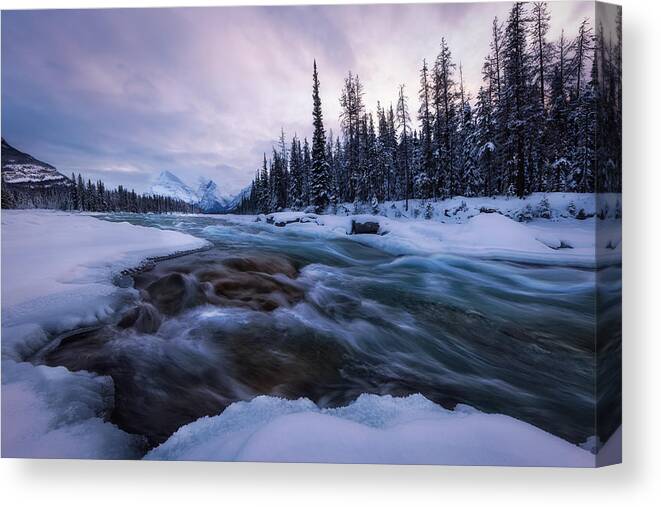 Sunset Canvas Print featuring the photograph Sunset At Athabasca River II by Dennis Zhang
