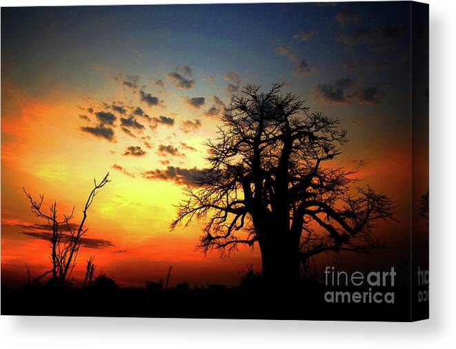 Africa Canvas Print featuring the photograph sunset on the Zambezi by Darcy Dietrich