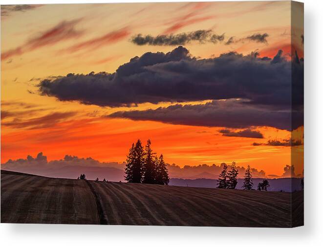 Willamette Valley Canvas Print featuring the photograph Sunset over the fields by Ulrich Burkhalter