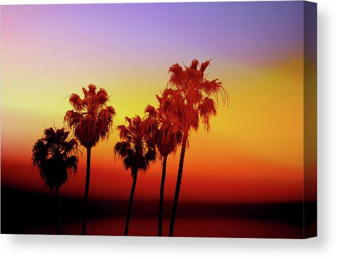 Palm Trees Canvas Print featuring the photograph Sunset Palm Trees- Art by Linda Woods by Linda Woods
