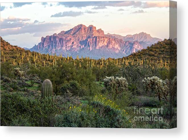 Arizona Canvas Print featuring the photograph Sunset Mountain View by Lisa Manifold