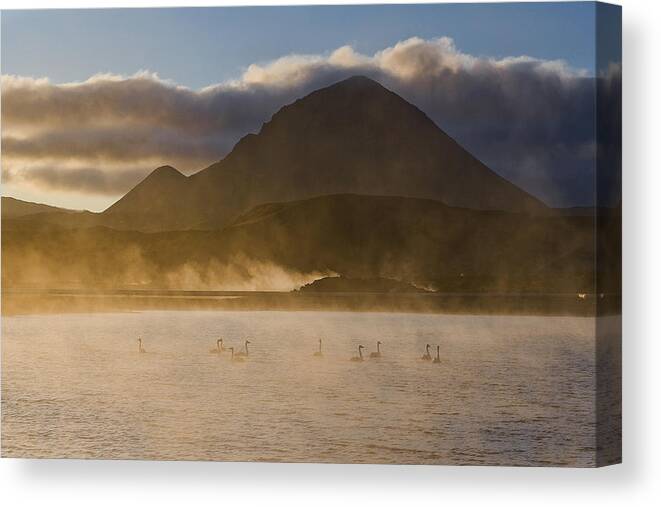 Iceland Canvas Print featuring the photograph Swan Lake by Jure Kravanja