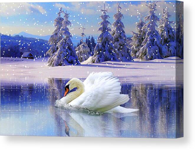 Swan Winter Canvas Print featuring the mixed media Swan Winter by Ata Alishahi