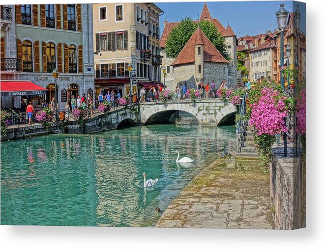 Canal Canvas Print featuring the photograph Swans Swimming in Annecy by Patricia Caron