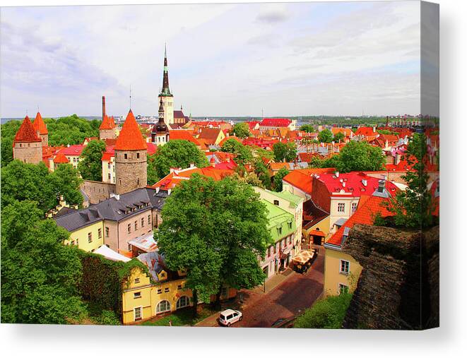 Konvertere Fearless erstatte Tallinn Old Town, Estonia Canvas Print / Canvas Art by Annhfhung -  Photos.com