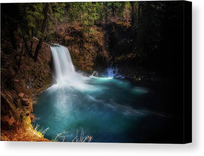 River Canvas Print featuring the photograph Tamolitch Falls by Cat Connor