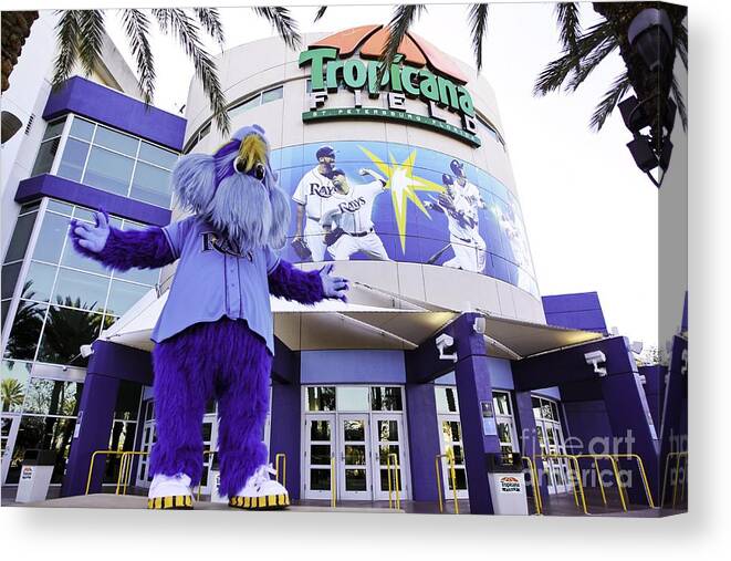 American League Baseball Canvas Print featuring the photograph Tampa Bay Rays Mascot by Mlb Photos