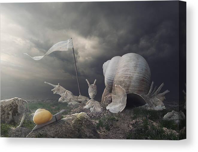 Snail Canvas Print featuring the photograph Temple Of Snail by Peter Cakovsky