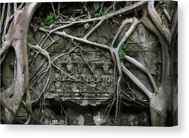 Cambodian Culture Canvas Print featuring the photograph Temple Ruins And Roots Of A Spung by Timothy Allen