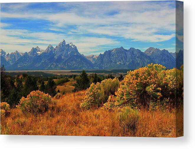 Grand Teton National Park Canvas Print featuring the photograph Teton Valley View by Greg Norrell