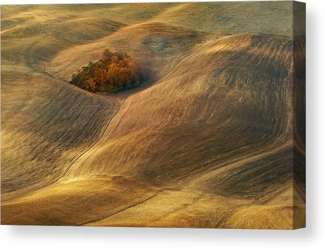 Hills Canvas Print featuring the photograph The Core by Jure Kravanja