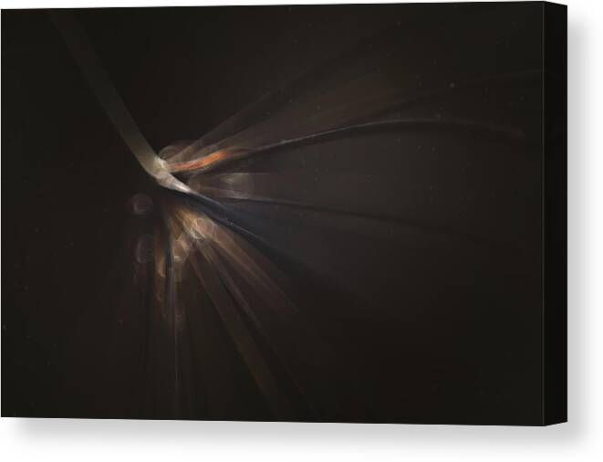 Flower Canvas Print featuring the photograph The Dying of the Light by Scott Norris