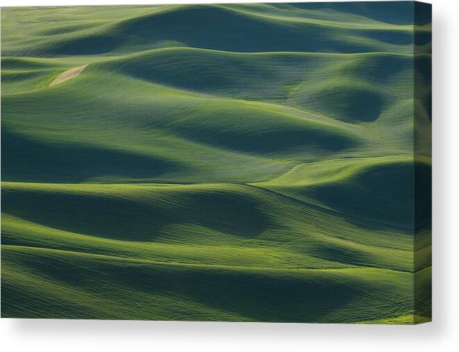 Palouse Canvas Print featuring the photograph The Earth's Fine Skin by ??? / Austin Li