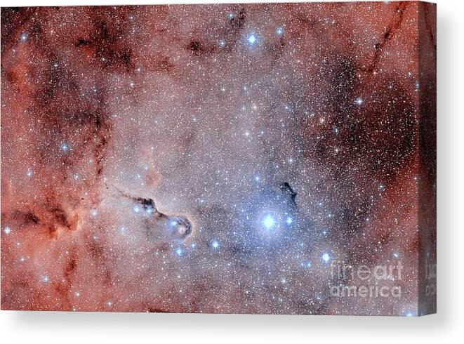 Astronomy Canvas Print featuring the photograph The Elephant Trunk Nebula by Davide De Martin/science Photo Library