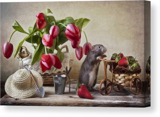 Tulips Canvas Print featuring the photograph The Farmer by Eleonora Grigorjeva