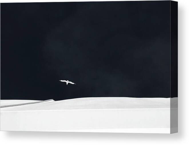 Seagull Canvas Print featuring the photograph The Flight Of The Ylerion II by Gilbert Claes