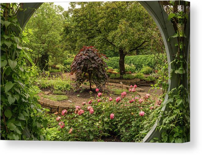 Garden Canvas Print featuring the photograph The Garden Window by Arthur Oleary
